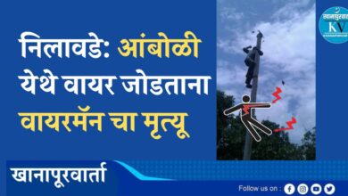 विजेचा धक्का बसल्याने, खांबावरून खाली पडून खाजगी वायरमॅन चा मृत्यू