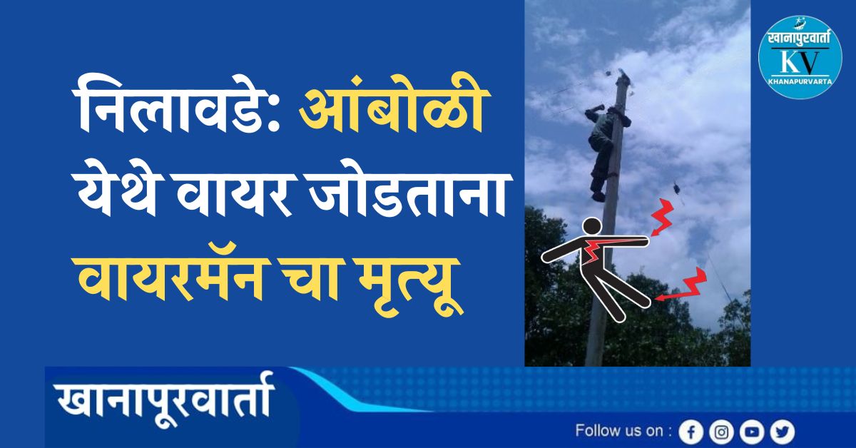 विजेचा धक्का बसल्याने, खांबावरून खाली पडून खाजगी वायरमॅन चा मृत्यू